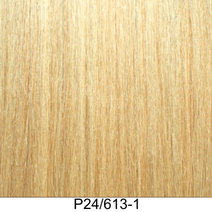 Clip-In 22" 100g