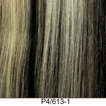 Clip-In 22" 100g