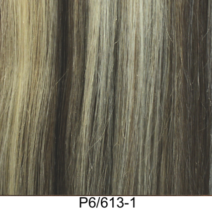 Clip-In 22" 100g