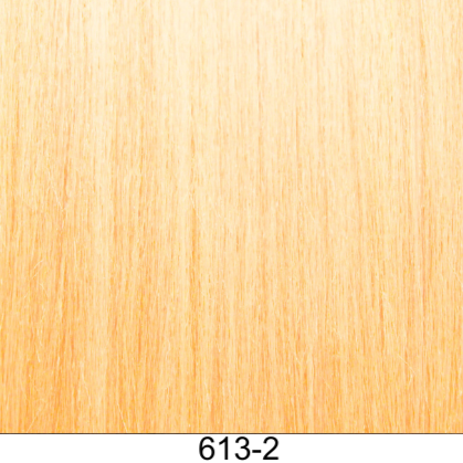 Clip-In 22" 100g