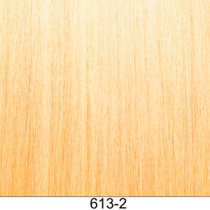 Clip-In 22" 100g