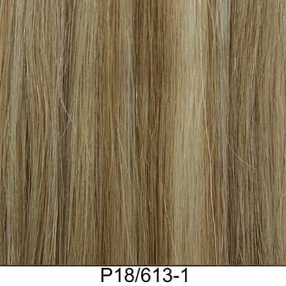 Clip-In 22" 100g