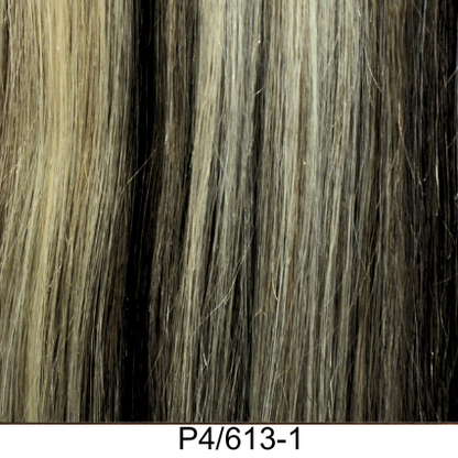 Clip-In 22" 100g