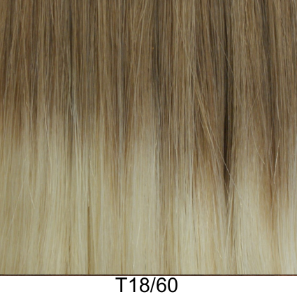 Clip-In 22" 100g
