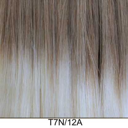Clip-In 22" 100g