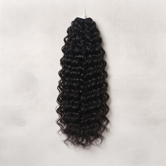 Indian Water Curl Black WT (Quali3)